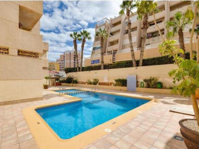 Apartamento Venta Torrevieja, Playa de los Locos Los Frutales Cabo Cervera