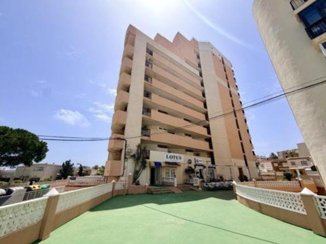 Apartamento Venta Torrevieja, Playa de los Locos Los Frutales Cabo Cervera