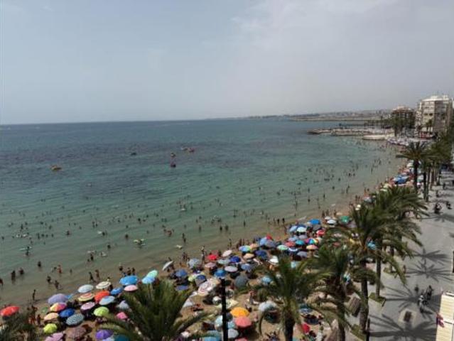 Apartamento Venta Torrevieja, Playa del Cura