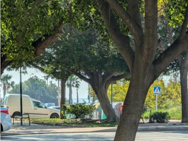 Apartamento Venta Torrevieja, Torrevieja