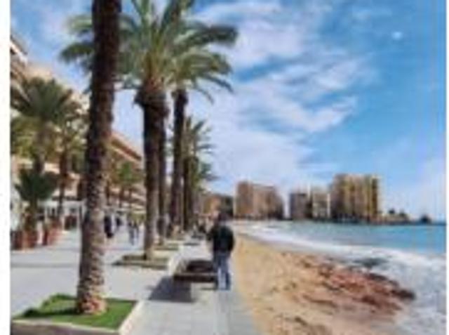 Apartamento Venta Torrevieja, Torrevieja