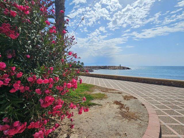 Apartamento Venta Almería
