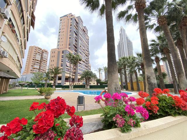Apartamento Venta Alicante