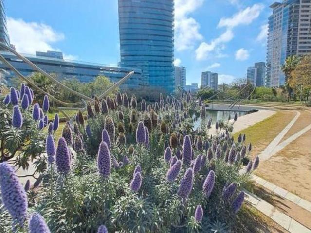 Apartamento Venta Barcelona Capital, Barcelona Capital