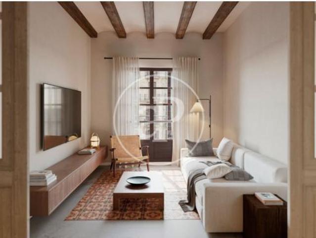 Apartamento Venta Barcelona Capital, El Raval