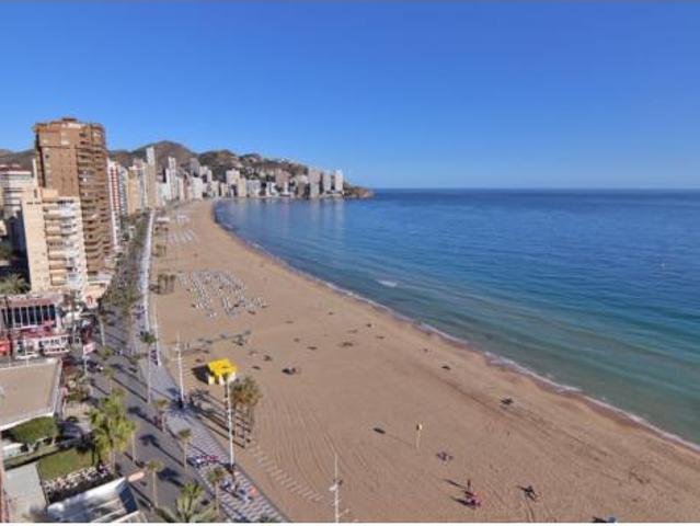 Apartamento Venta Benidorm, Benidorm