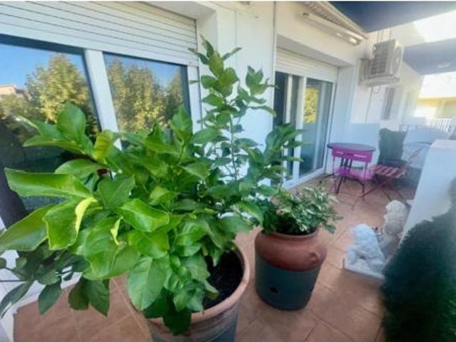Apartamento Venta Castelló d'Empúries, Empuriabrava