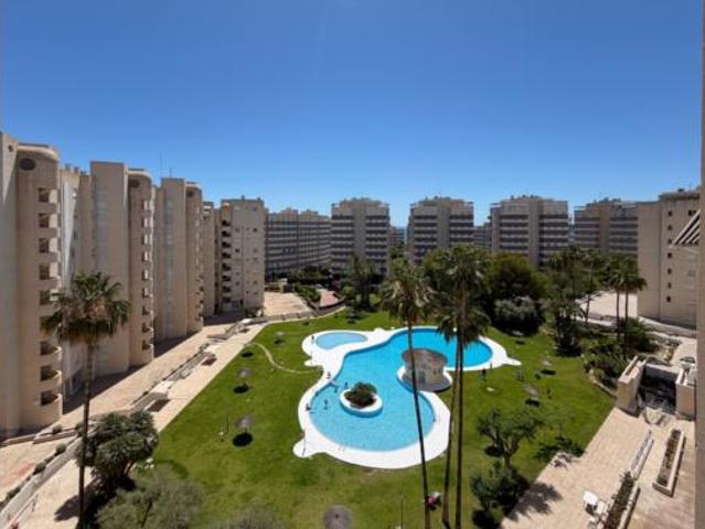 Apartamento Venta El Campello, Platja Muchavista