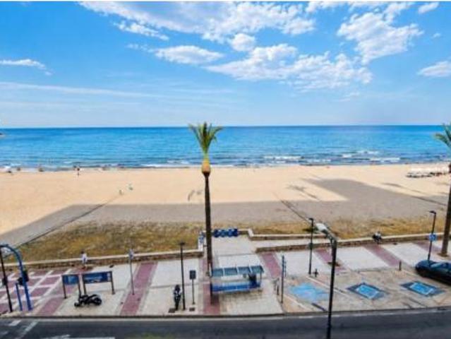 Apartamento Venta El Campello, Platja Muchavista