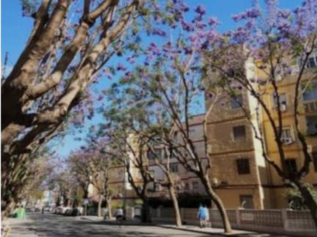 Apartamento Venta Fuengirola, Centro