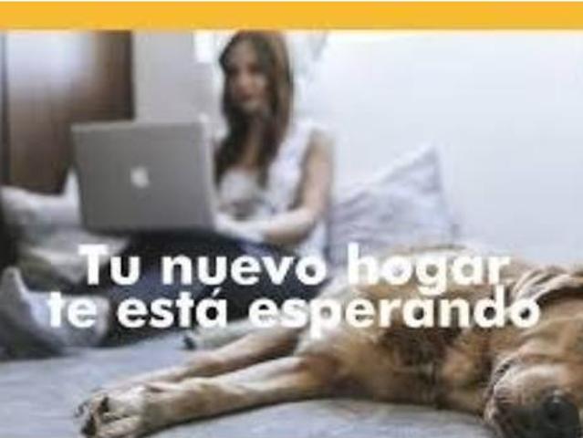 Apartamento Venta Lorca, La Viña San José