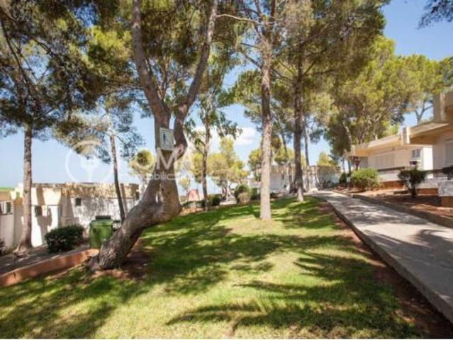 Apartamento Venta Llucmajor, Badia Blava Badia Gran Tolleric