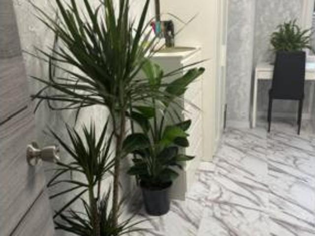 Apartamento Venta Mislata, Jutjats