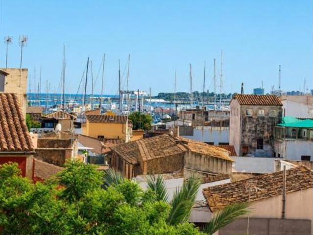 Apartamento Venta Palma de Mallorca, La Llotja Born
