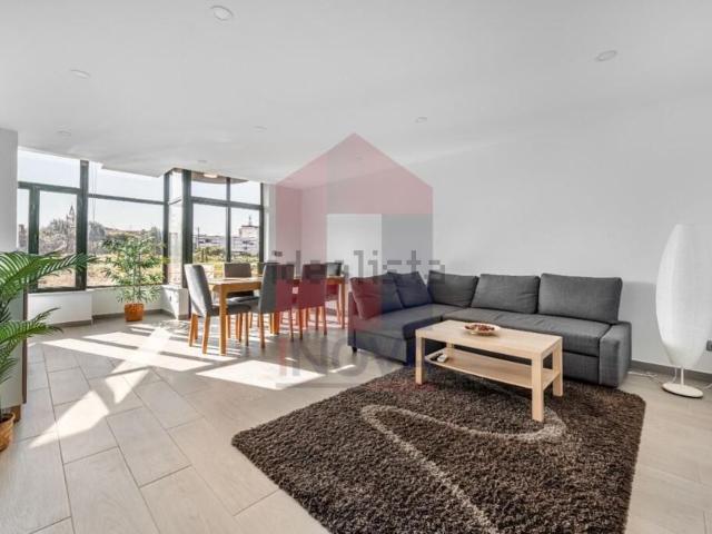 Apartamento, Vila Verde e Barbudo