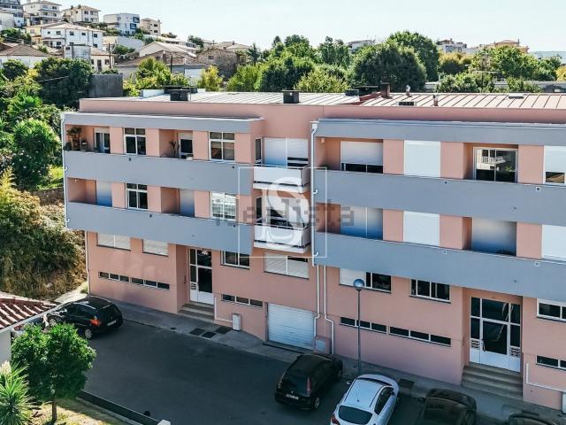 Apartamento, Vila Verde e Barbudo