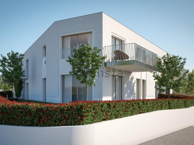 Apartamento, Vila Verde e Barbudo