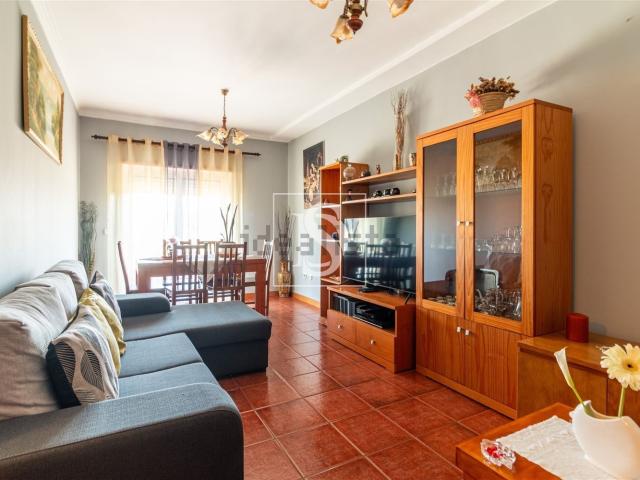 Apartamento, Vila Verde e Barbudo