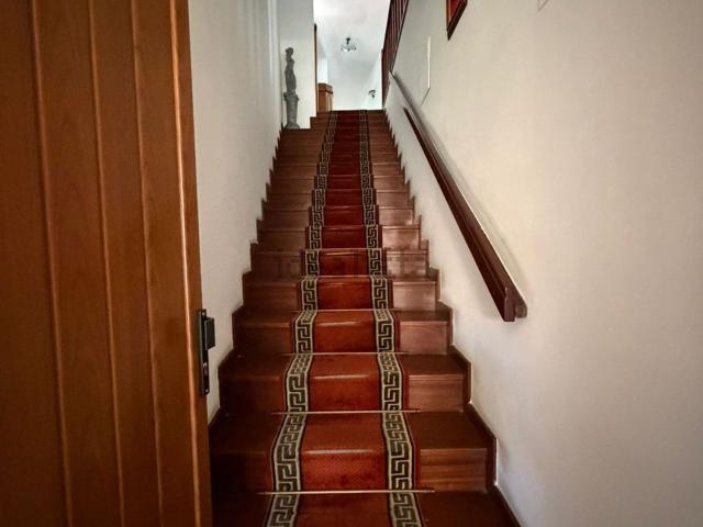 Apartamento, Vila Verde e Barbudo