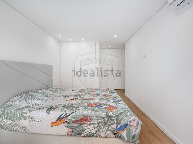 Apartamento, Vila Verde e Barbudo