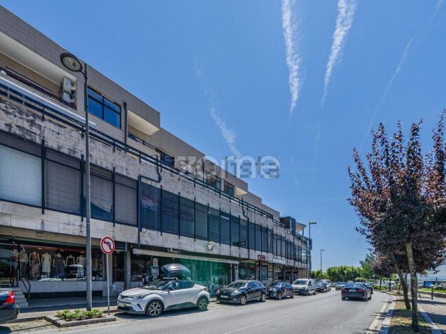 Apartamento, Vila Verde e Barbudo
