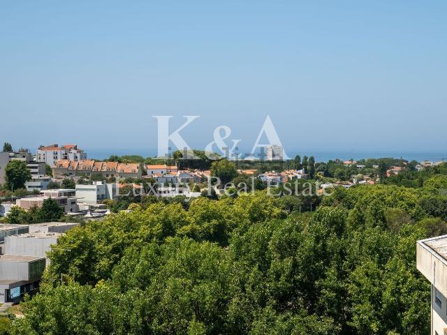 Apartamento, Aldoar Foz do Douro Nevogilde