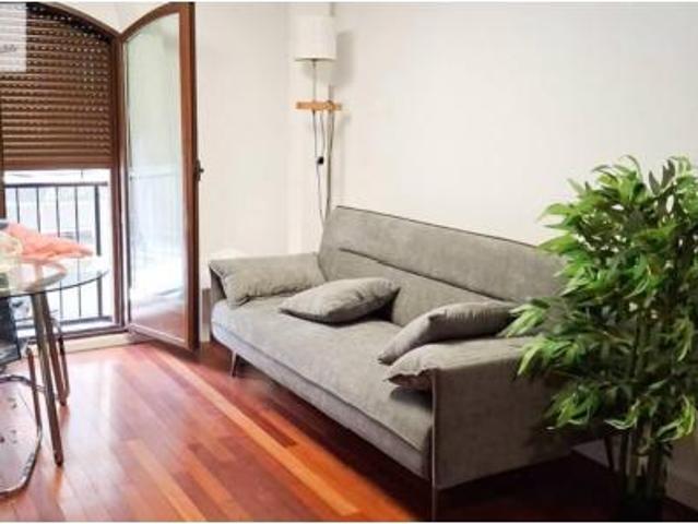 Apartamento Alquiler València Capital, El Botànic