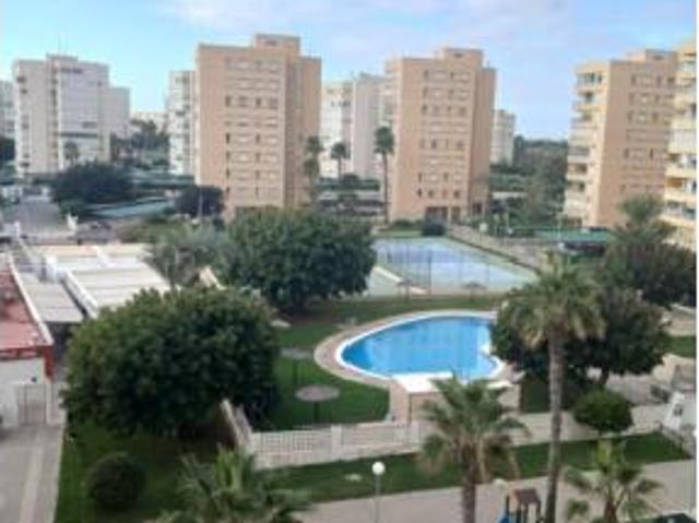 Apartamento Alquiler Alicante Alacant, Agua Amarga Urbanova