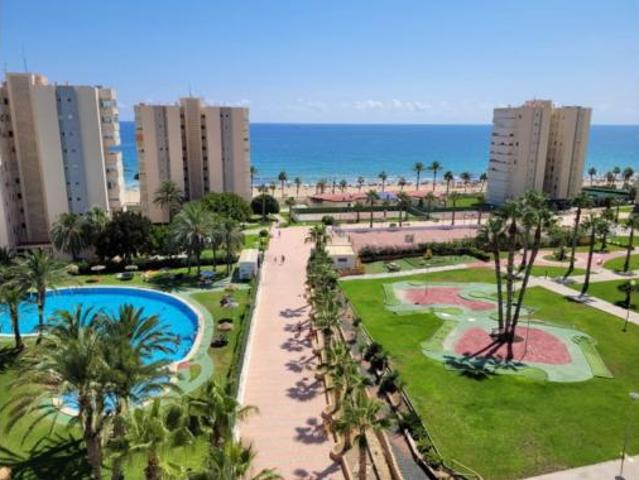 Apartamento Alquiler Alicante Alacant, Agua Amarga Urbanova