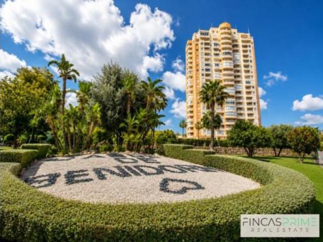 Apartamento Alquiler Benidorm, Poble de Ponent