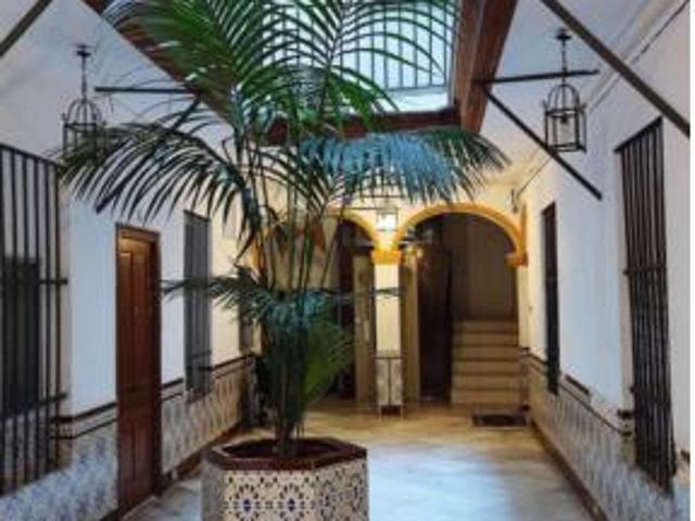 Apartamento Alquiler Cádiz Capital, El Mentidero Teatro Falla Alameda