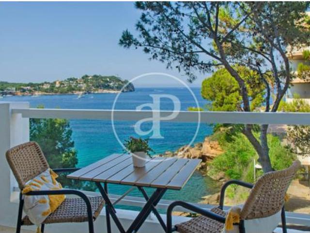 Apartamento Alquiler Calvià, Costa de la Calma