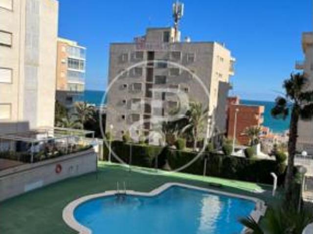 Apartamento Alquiler Elx Elche, Los Arenales del Sol