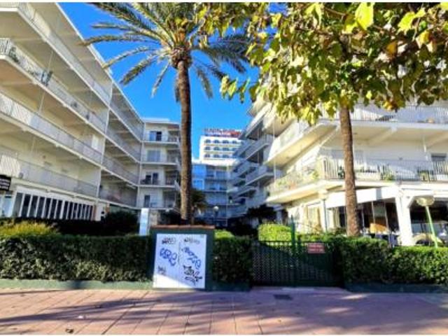 Apartamento Alquiler Gandia, Playa de Gandia