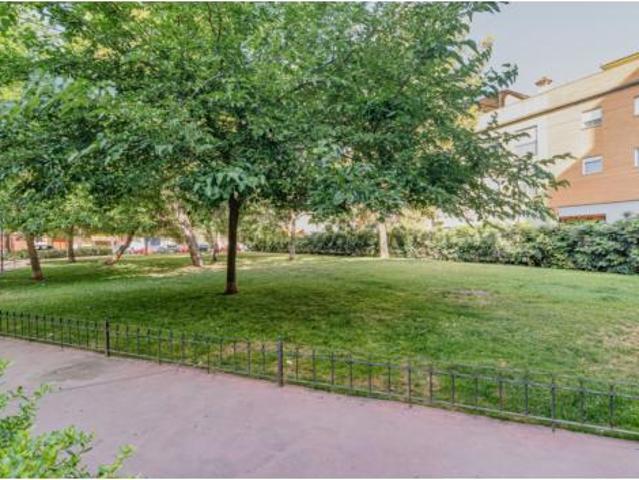 Apartamento Alquiler Granada Capital, Castaño Mirasierra
