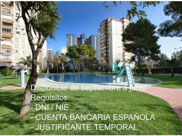Apartamento Alquiler La Pobla de Farnals, Playa La Pobla de Farnals
