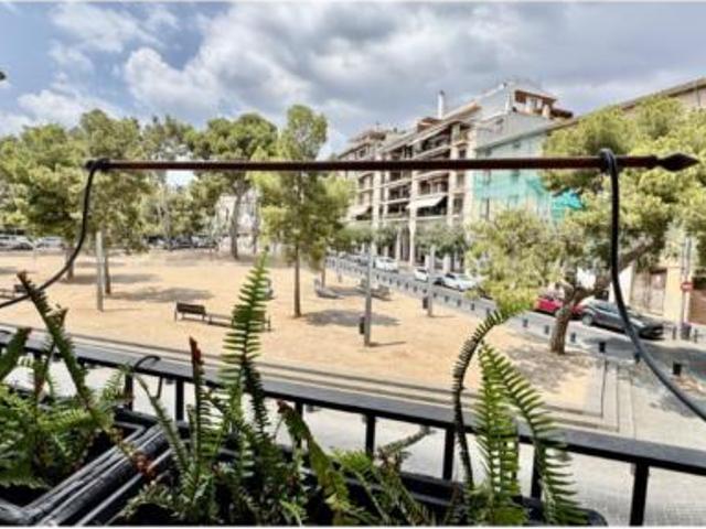 Apartamento Alquiler Palma de Mallorca, El Puig de Sant Pere