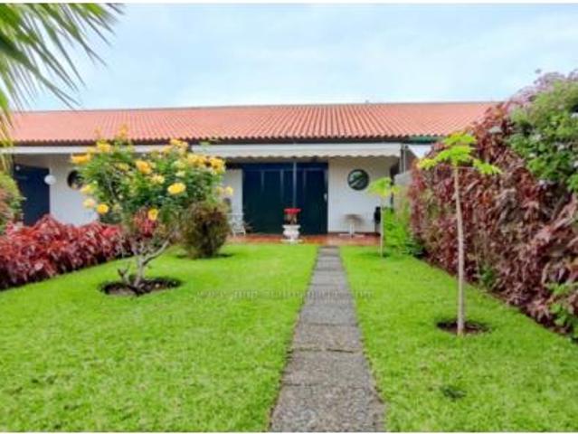 Apartamento Alquiler Puerto de la Cruz, El Botánico