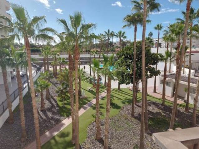Apartamento Alquiler San Bartolomé de Tirajana, Playa del Inglés