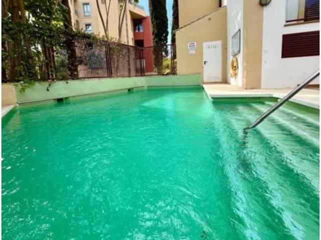 Apartamento Alquiler Sotogrande, Puerto de Sotogrande La Marina