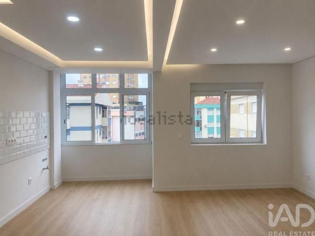 Apartamento, Amora