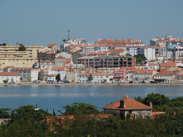 Apartamento, Amora