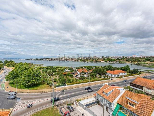 Apartamento, Amora