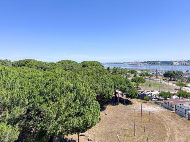 Apartamento, Amora