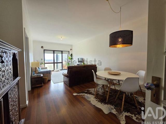 Apartamento, Anta