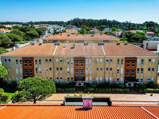 Apartamento, Árvore