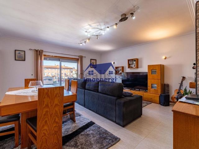 Apartamento, Árvore