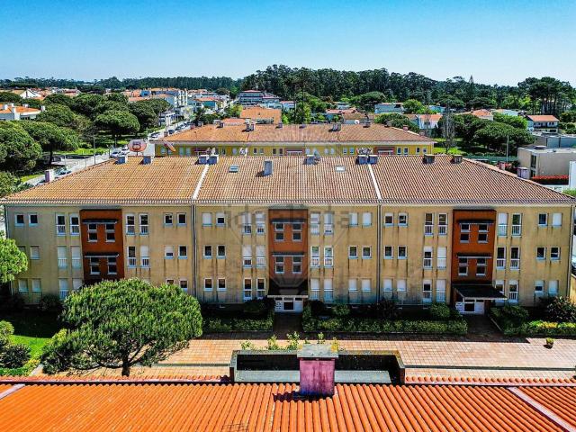 Apartamento, Árvore