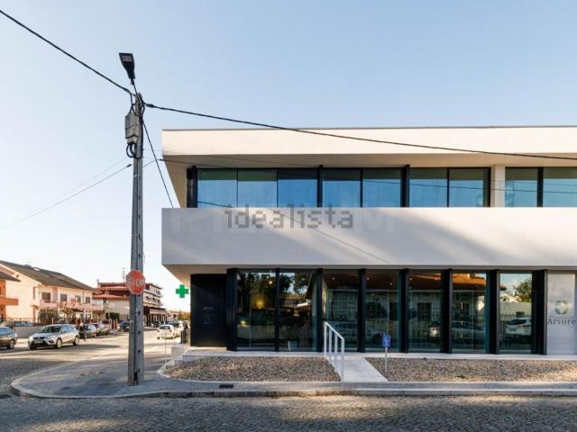 Apartamento, Árvore