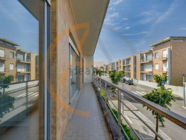 Apartamento, Árvore